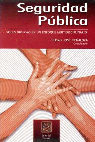 SEGURIDAD PUBLICA