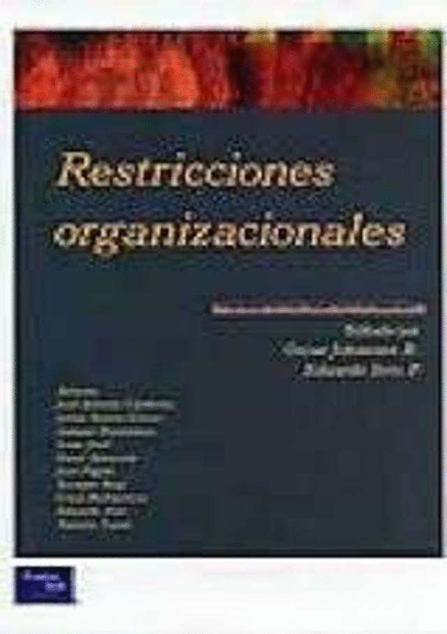 RESTRICCIONES ORGANIZACIONALES