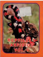 REPTILES Y ANFIBIOS 1